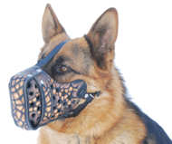 Leather dog muzzle "Dondi"-plus style For GSD Leather dog muzzle "Dondi"-plus style For GSD