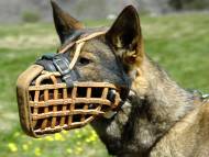Leather basket dog muzzle for German Shepherd/Malinois Leather basket dog muzzle for German Shepherd/Malinois