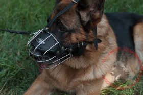 'Bite Salvage' German Shepherd Wire Muzzle - Wire Basket Dog Muzzle  'Bite Salvage' German Shepherd Wire Muzzle - Wire Basket Dog Muzzle
