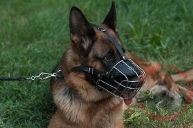 'Bite Salvage' German Shepherd Wire Muzzle - Wire Basket Dog Muzzle  'Bite Salvage' German Shepherd Wire Muzzle - Wire Basket Dog Muzzle