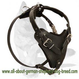 K9 Agitation Leather Dog 【Harness】 for police dog trainers : German  Shepherd Breed: Dog harnesses, Muzzles, Collars, Leashes