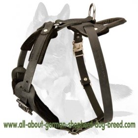 'New Venice' Agitation/Protection Leather Dog Harness for German Shepherd  'New Venice' Agitation/Protection Leather Dog Harness for German Shepherd