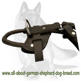 All Coat Types Daily Grooming Bristle Brush : German Shepherd Breed: Dog  harness, Muzzle, Dog collar, Dog leash