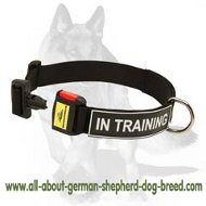 are german shepherds velcro dogs