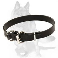 K9 Agitation Leather Dog 【Harness】 for police dog trainers : German  Shepherd Breed: Dog harnesses, Muzzles, Collars, Leashes