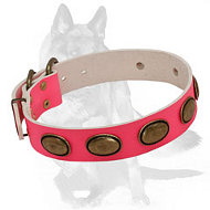 Astonishing Pink Studded Leather Collar  Astonishing Pink Studded Leather Collar