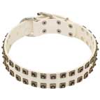 Delicate White Leather Collar with Studs for German Shepherd  Delicate White Leather Collar with Studs for German Shepherd
