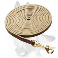 Dog Training Agitation Whip - 30% DISCOUNT [TE10#1073 Schutzhund Agitation  Whip] - $32.99 : Best quality dog supplies at crazy reasonable prices -  harnesses, leashes, collars, muzzles and dog training equipment
