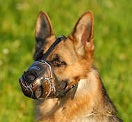 Leather dog muzzle hot sale for german shepherd