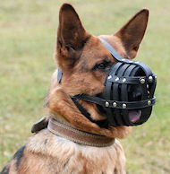 Dog muzzle for outlet german shepherd