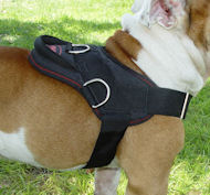 Large dog breed outlet harness