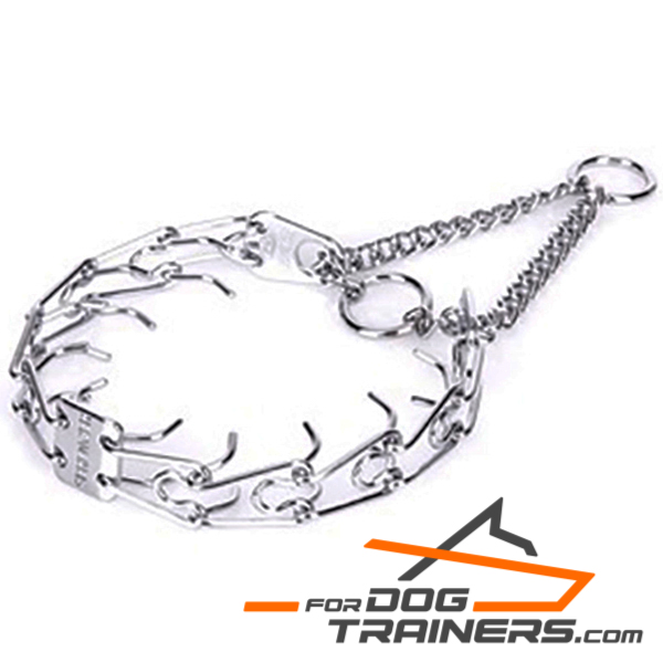 Amazing Collar for Your Dog