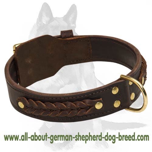 Handmade Leather Dog Leash with Braided Ends