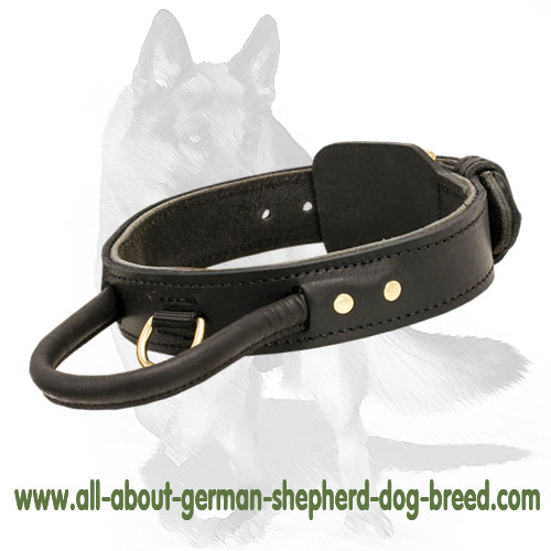 K9 Agitation Leather Dog 【Harness】 for police dog trainers : German  Shepherd Breed: Dog harnesses, Muzzles, Collars, Leashes