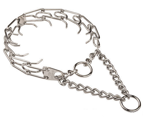 Steel dog deals collar