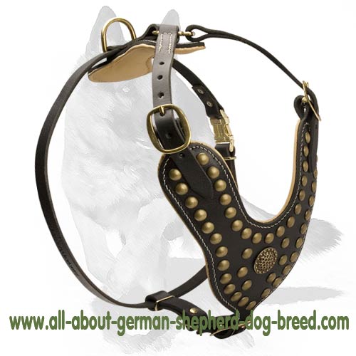 Custom leather clearance dog harness