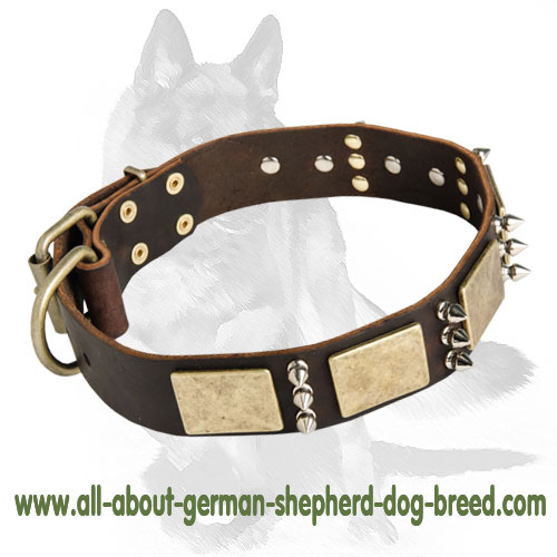 Luxury Designer Dog Collars, Leashes & Harnesses