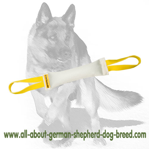 https://www.all-about-german-shepherd-dog-breed.com/images/large/Fire-Hose-Dog-Bite-Tug-With-Handles-TE522_LRG.jpg