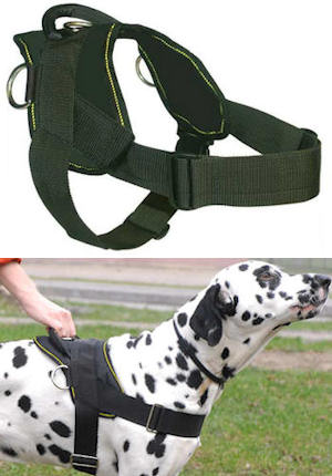 puppy harness for training