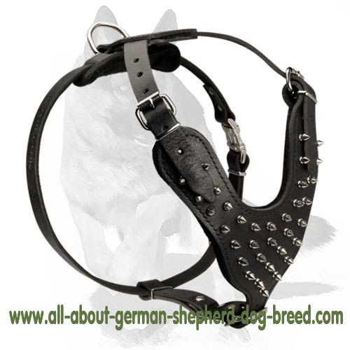 Great Spiked Dog Harness for Stylish Walks German Shepherd Breed Dog harnesses Muzzles Collars Leashes 2024 BUY NOW