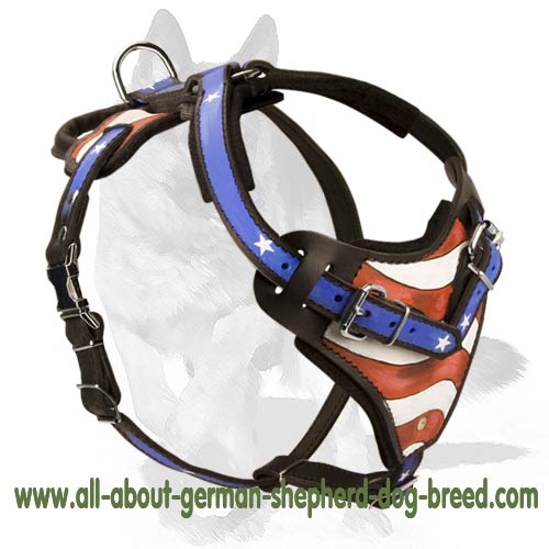 Genuine Leather Dog Harness for German Shepherd : German Shepherd Breed: Dog  harnesses, Muzzles, Collars, Leashes