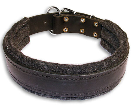 padded dog collars