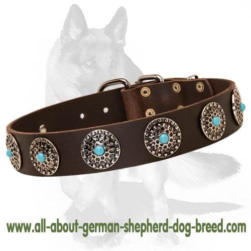 female german shepherd collars