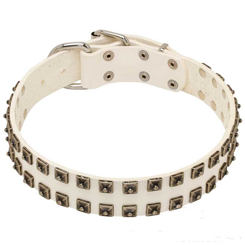 Buy Leather Designer Collar