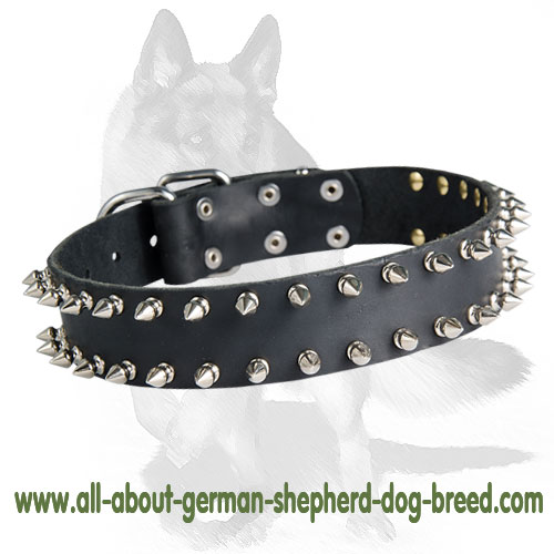 are spiked collars used for training dogs
