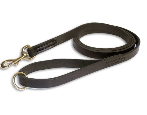 snap lead dog training leash