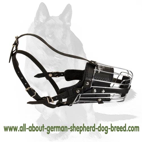 wire muzzle german shepherd