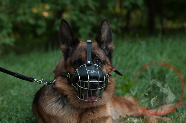 dog muzzle for biting for german shepard