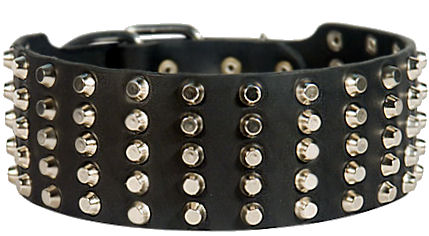 3 inch leather dog collar best sale