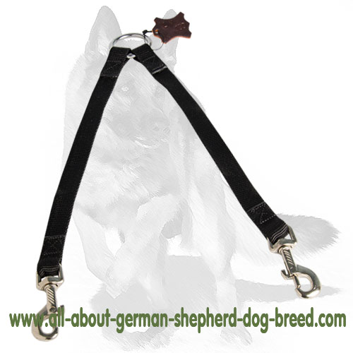 Two way outlet dog leash