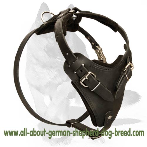 K9 Luxury Custom handcrafted dog harness Fit German Shepherd : German  Shepherd Breed: Dog harnesses, Muzzles, Collars, Leashes