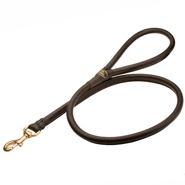 Latigo 2025 leather leash