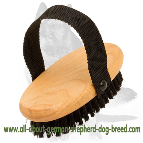 All Coat Types Daily Grooming Bristle Brush : German Shepherd Breed: Dog  harness, Muzzle, Dog collar, Dog leash