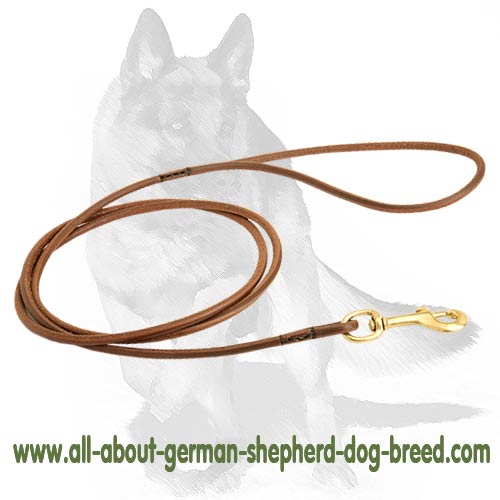 best leather dog leash