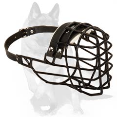 metal dog muzzle